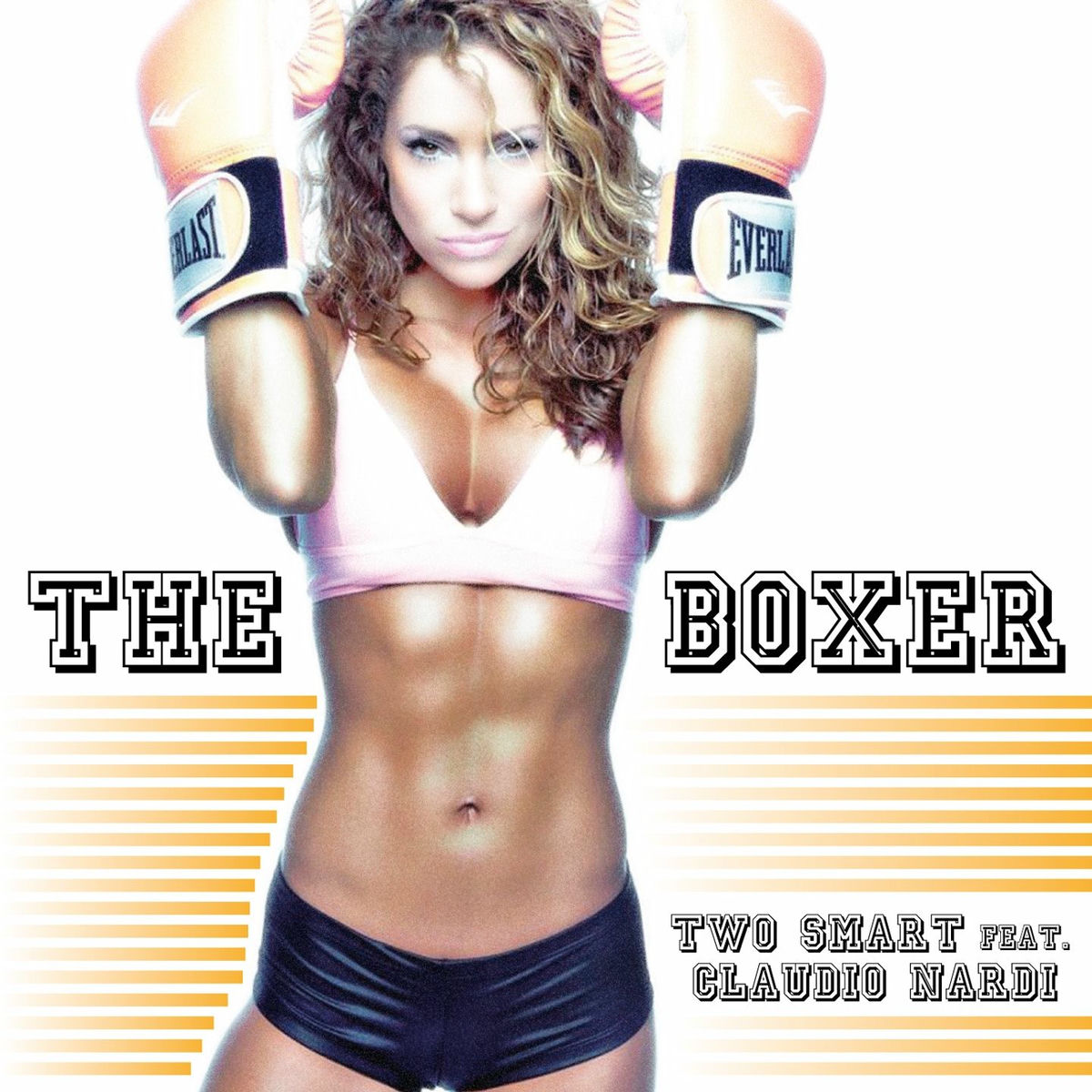 Album cover of The Boxer