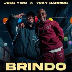 Cover of Brindo