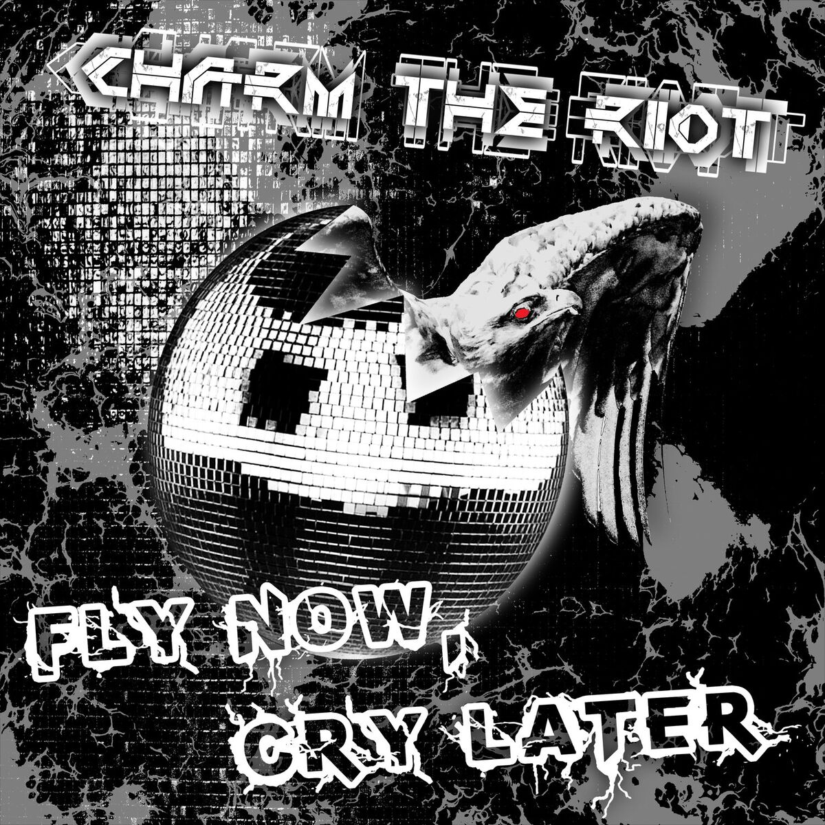 Album cover of Fly Now, Cry Later
