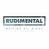 RUDIMENTAL/KHALID - All I Know (Record Mix)