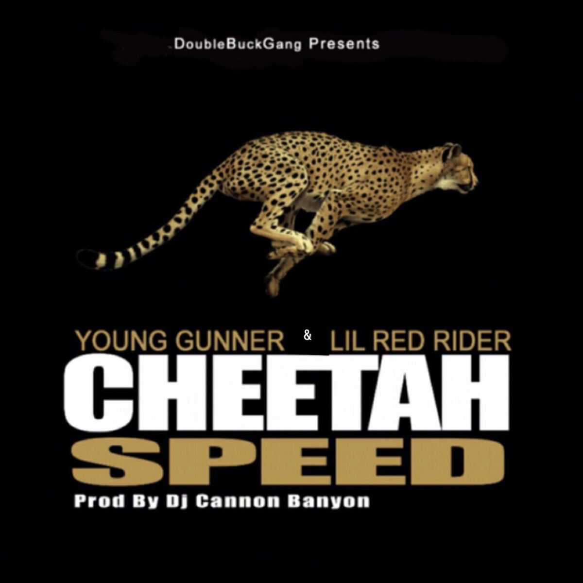 Album cover of Cheetah Speed
