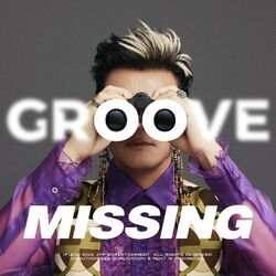 Cover of Groove Missing