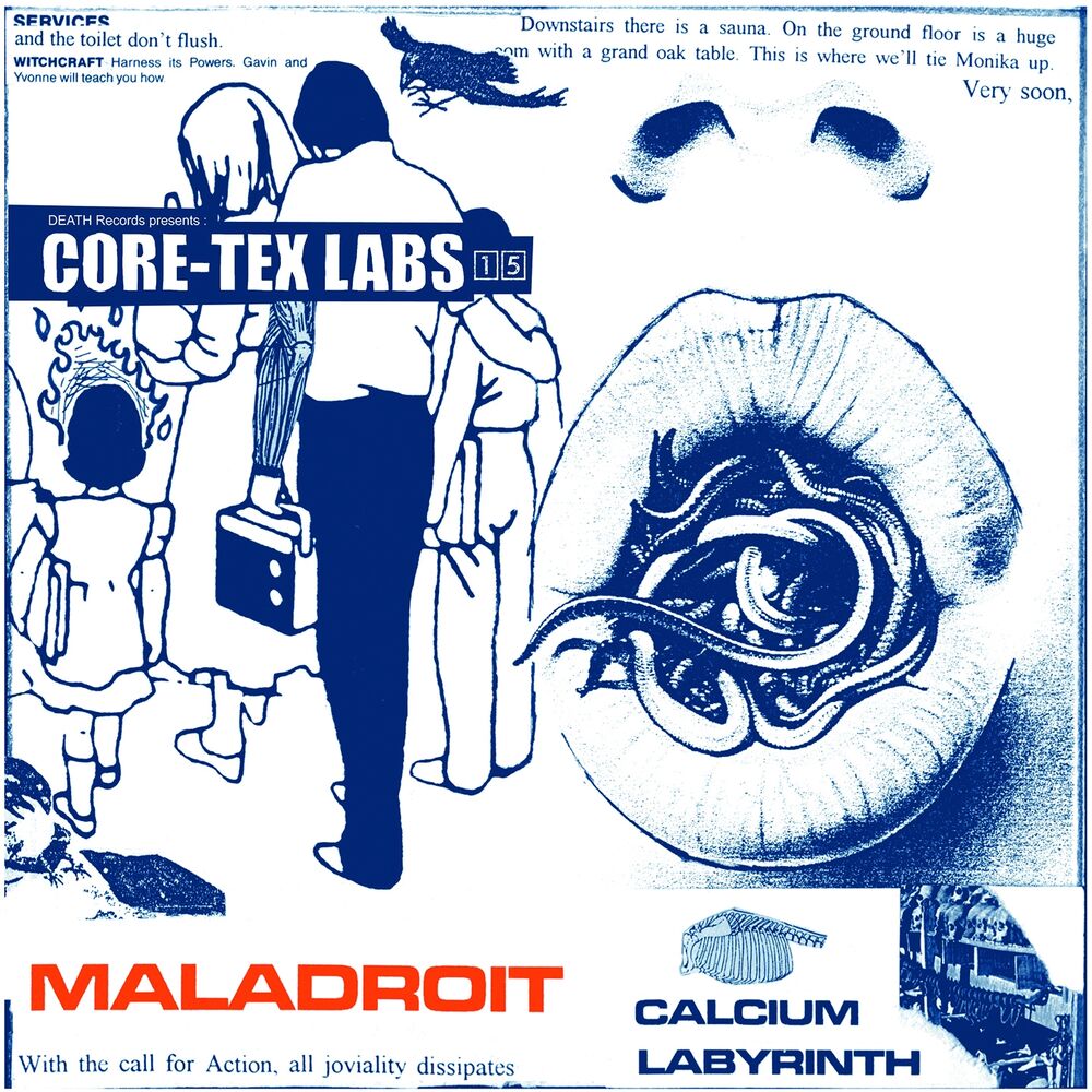 Picture of Core-Tex Labs, Vol. 15 (Calcium Labyrinth)