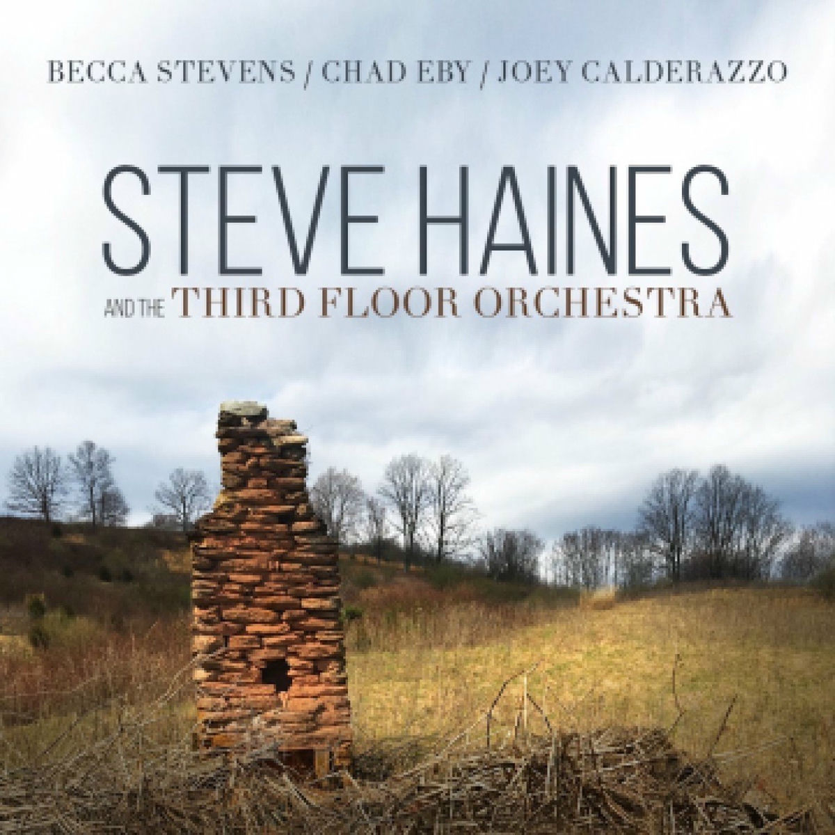 Album cover of Steve Haines and the Third Floor Orchestra