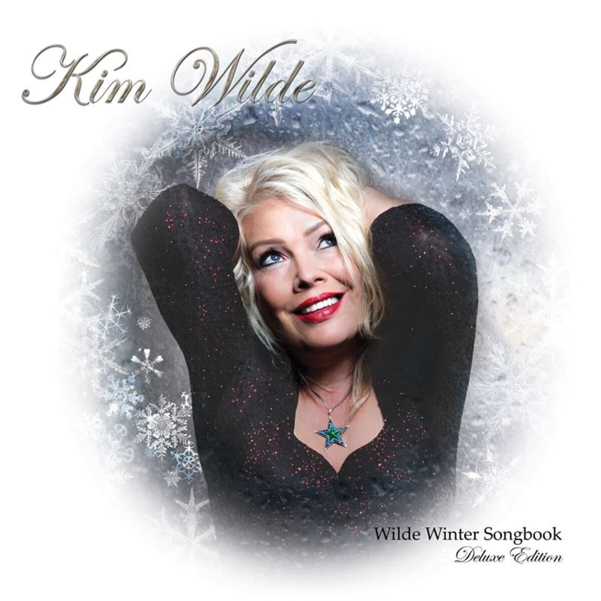 Album cover of Wilde Winter Songbook (Deluxe Edition)