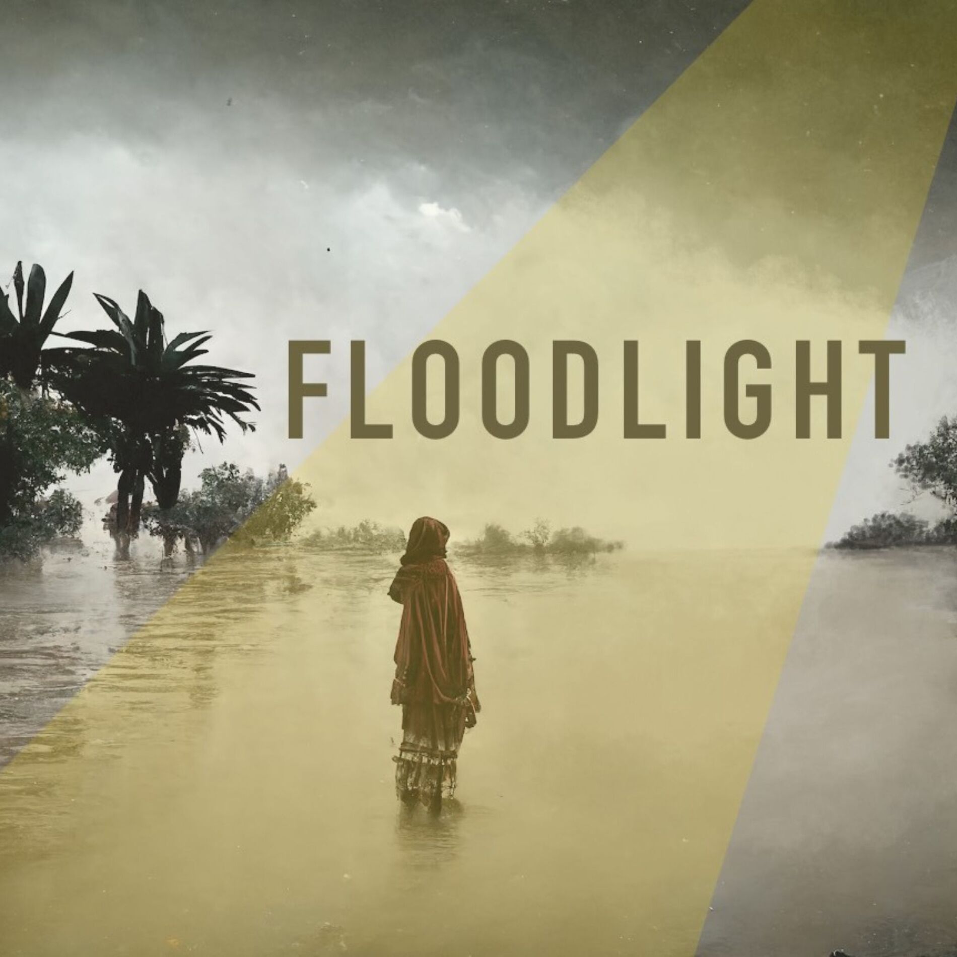 Album cover of FLOODLIGHT VOLUME 1