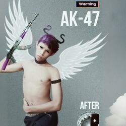 Cover of AK-47