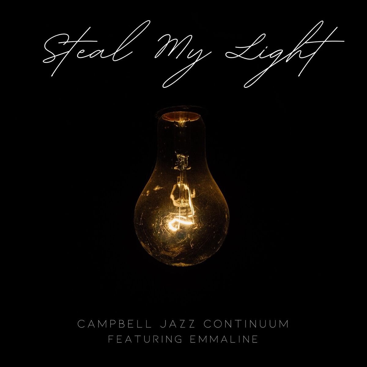 Album cover of Steal My Light