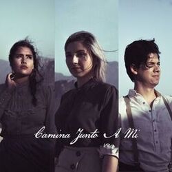 Cover of Camina Junto a Mí