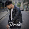 Shonk