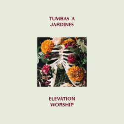 Cover of Tumbas A Jardines