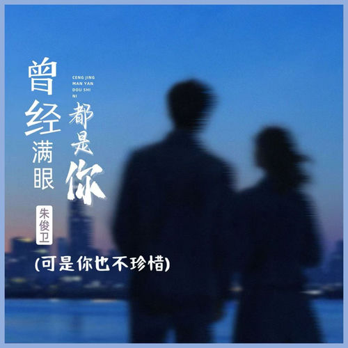 曾经满眼都是你 (可是你也不珍惜)