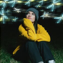 Cover of Fireflies