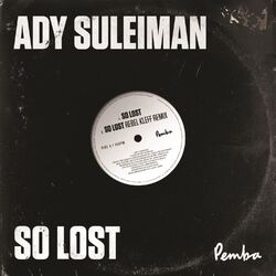 Cover of So Lost