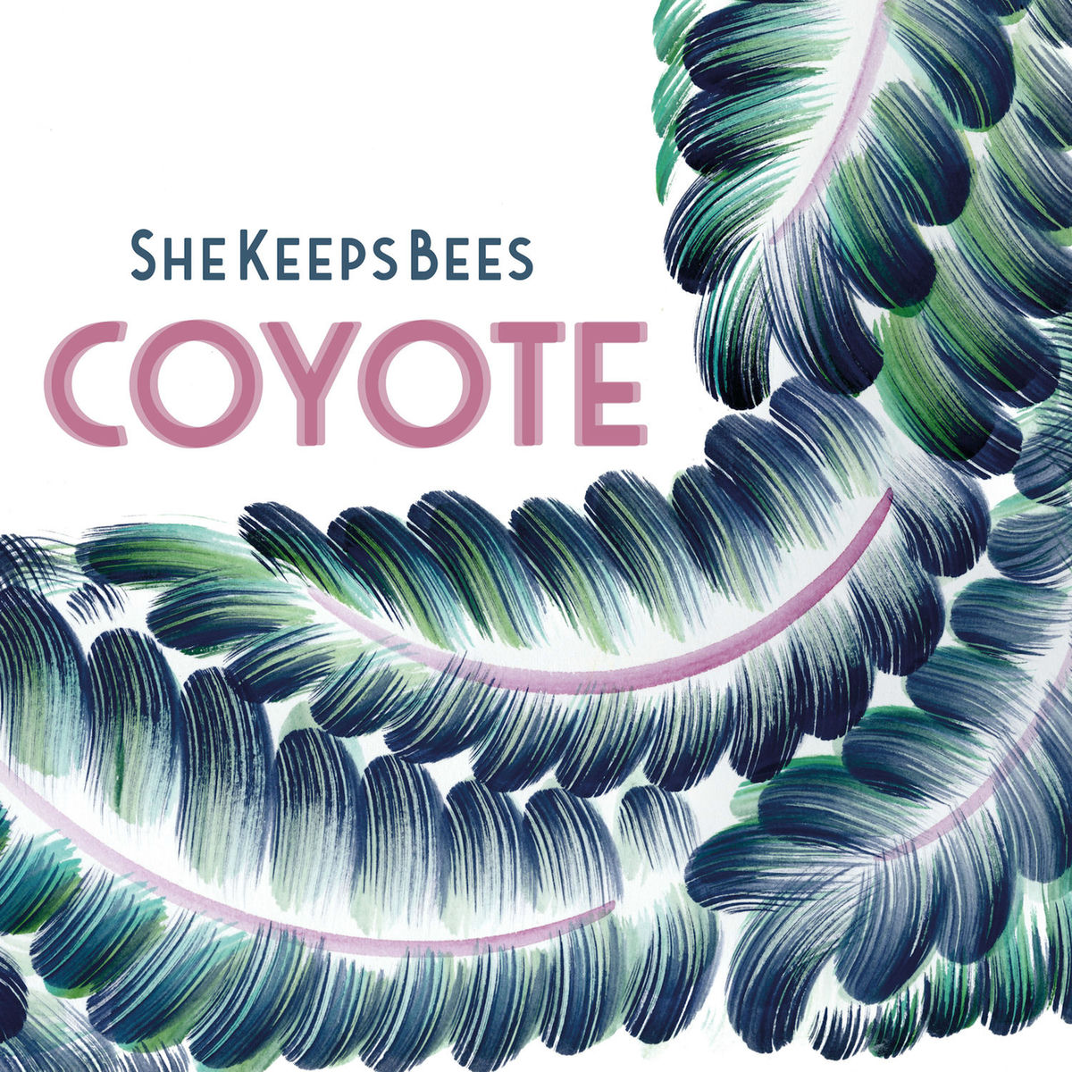 Album cover of Coyote