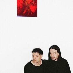Cover of Beyond
