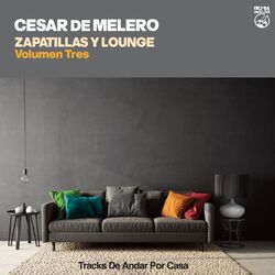 Cover of Zapatillas y Lounge - Volumen Tres (Tracks de andar por casa)