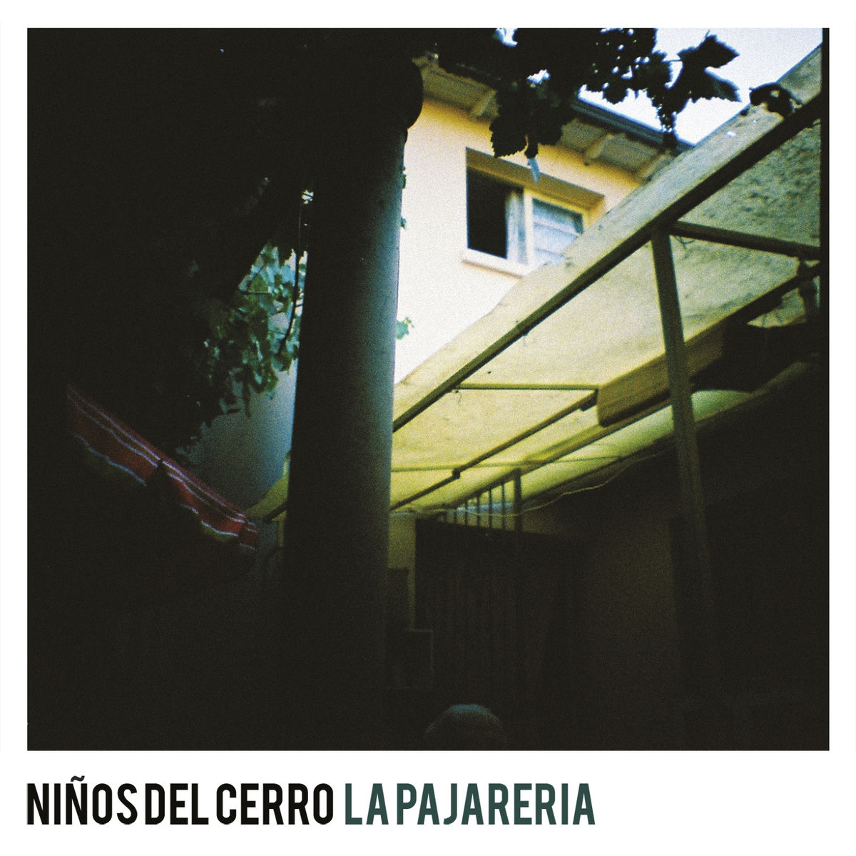 Album cover of La Pajarería