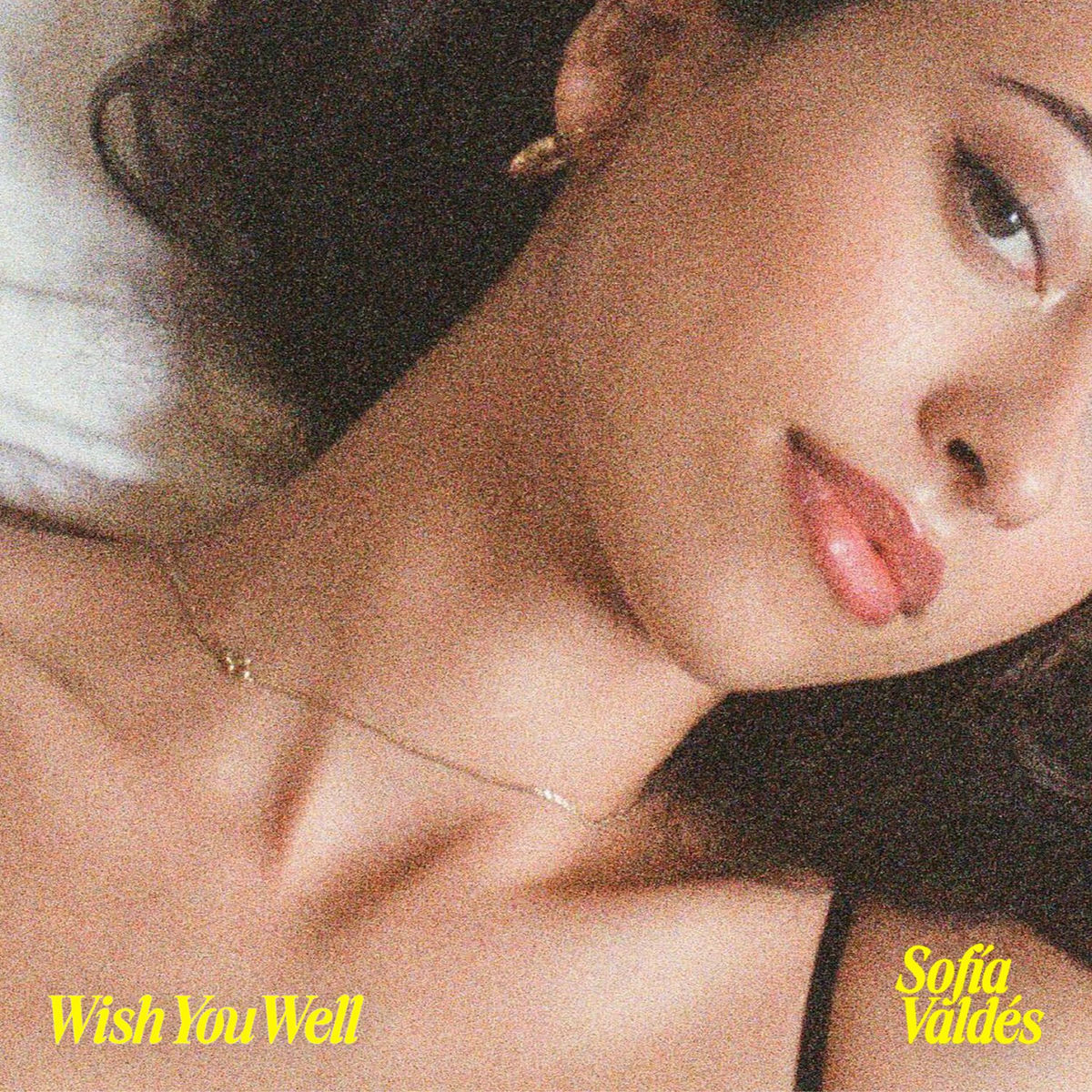 Album cover of Wish You Well