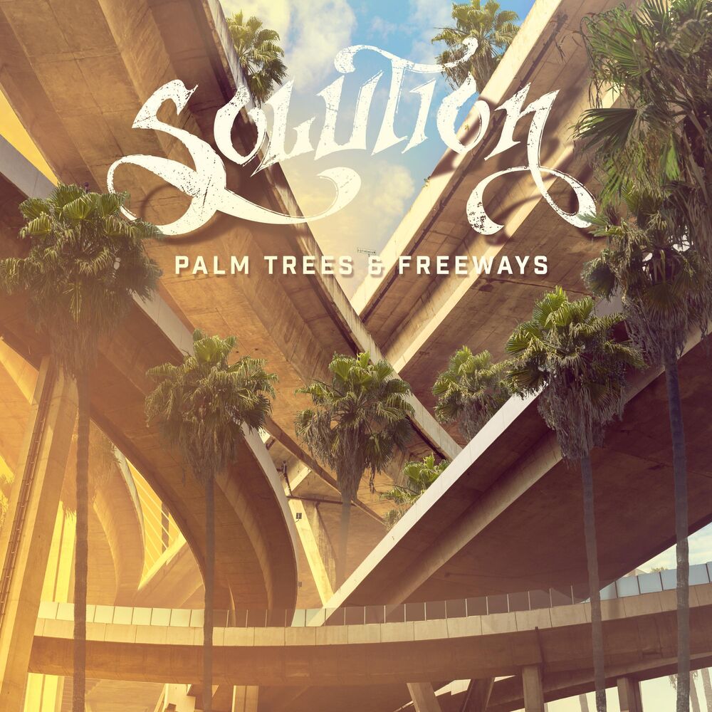 Picture of Palm Trees and Freeways