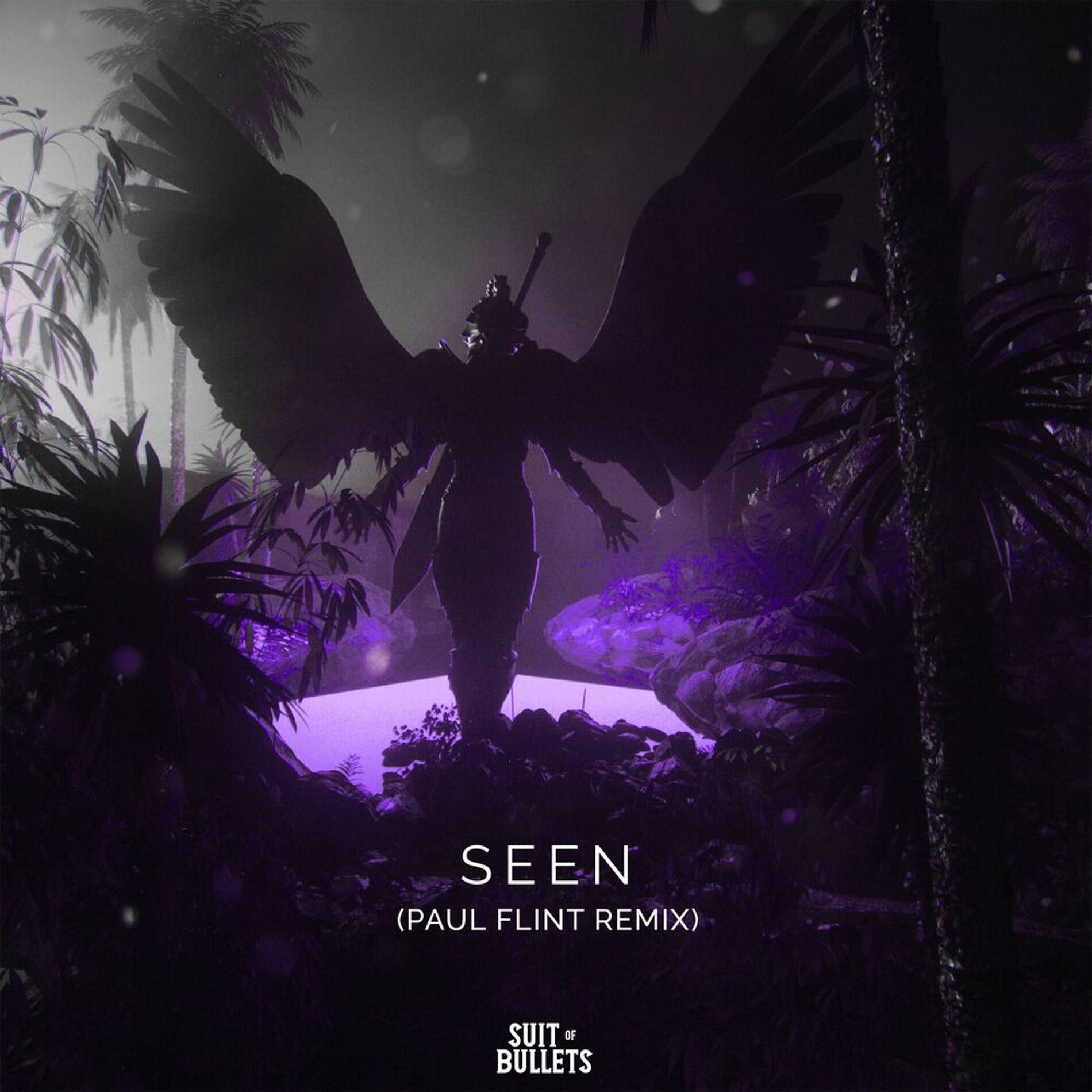 Album cover of Seen (feat. Veronica Bravo) [Paul Flint Remix]