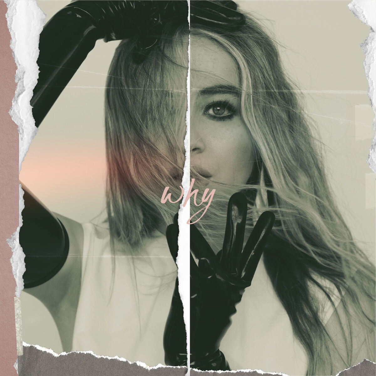 Album cover of Why