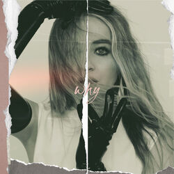 Cover of Why
