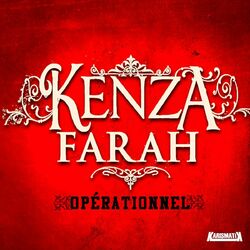 Cover of Opérationnel