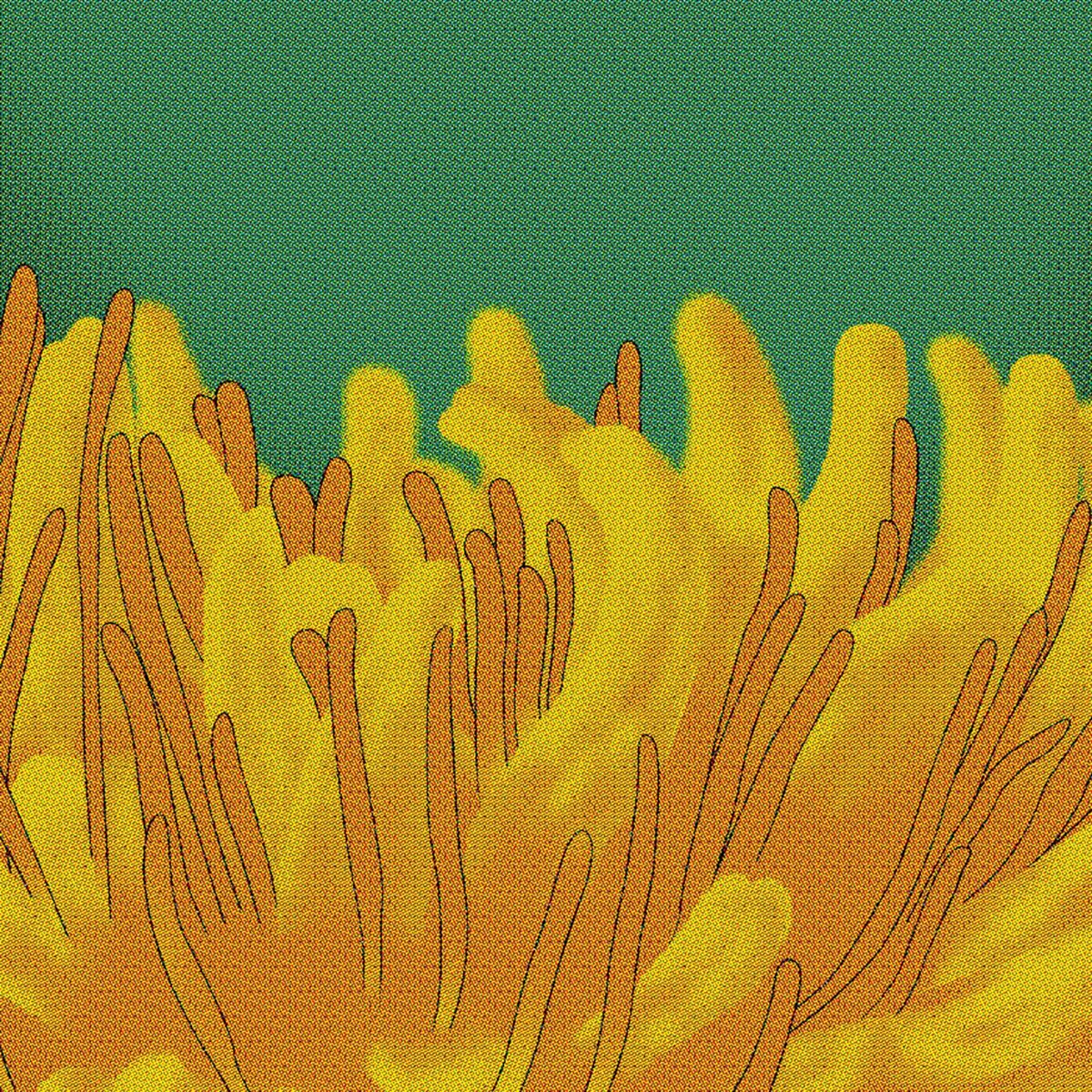 Album cover of Come Gather 'Round