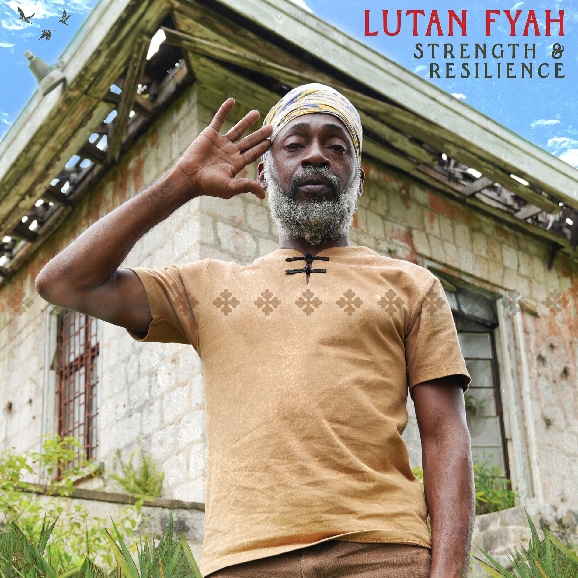 Album cover of Warning Dem