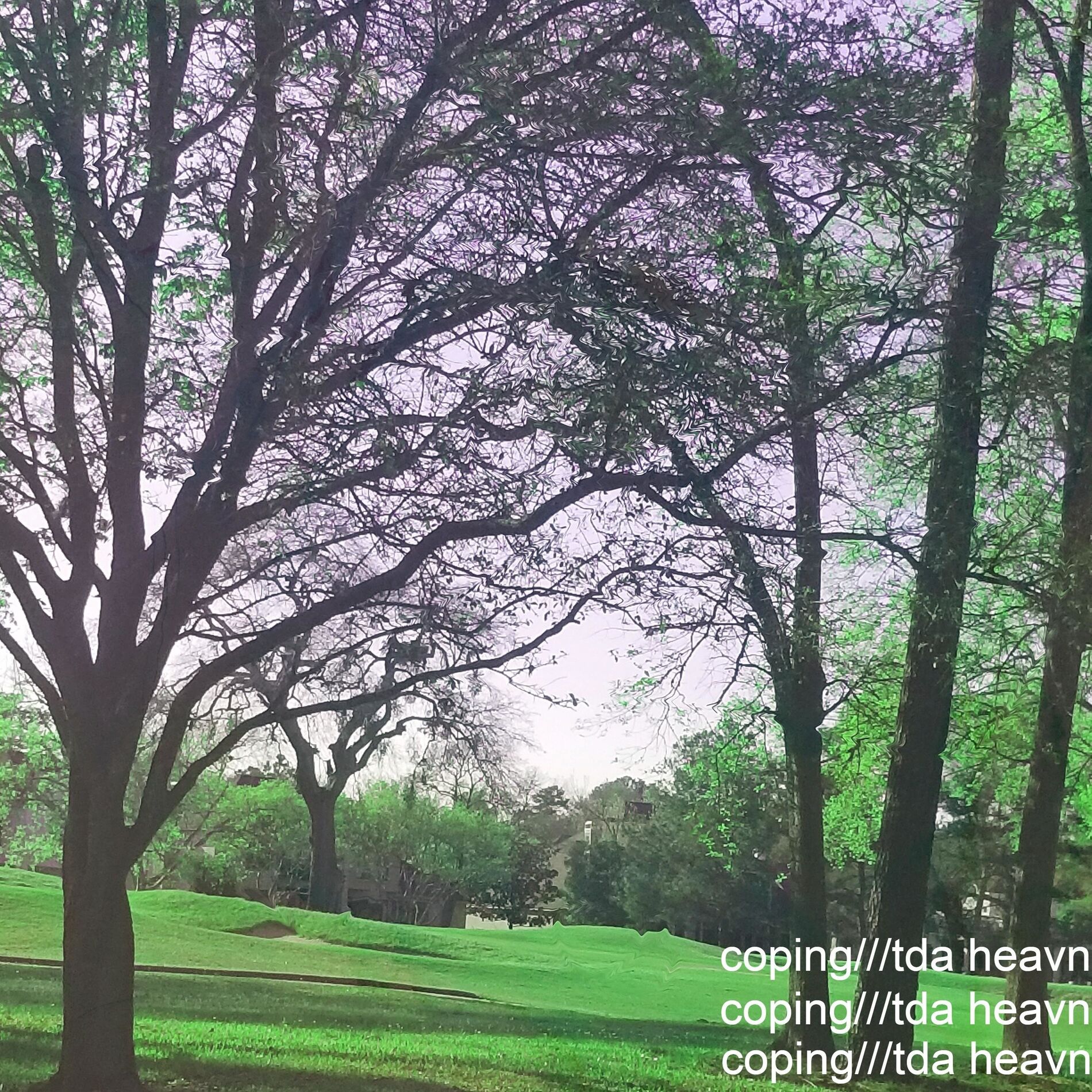 Album cover of coping