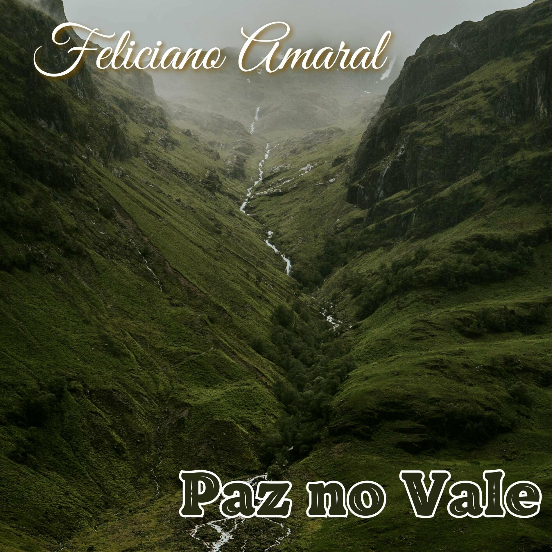 Album cover of Paz no Vale