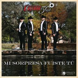Cover of Mi Sorpresa Fuiste Tú