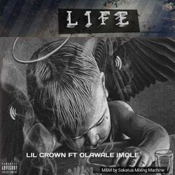 Cover of Life