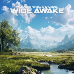 Cover of Wide Awake