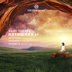 Cover of Antawara