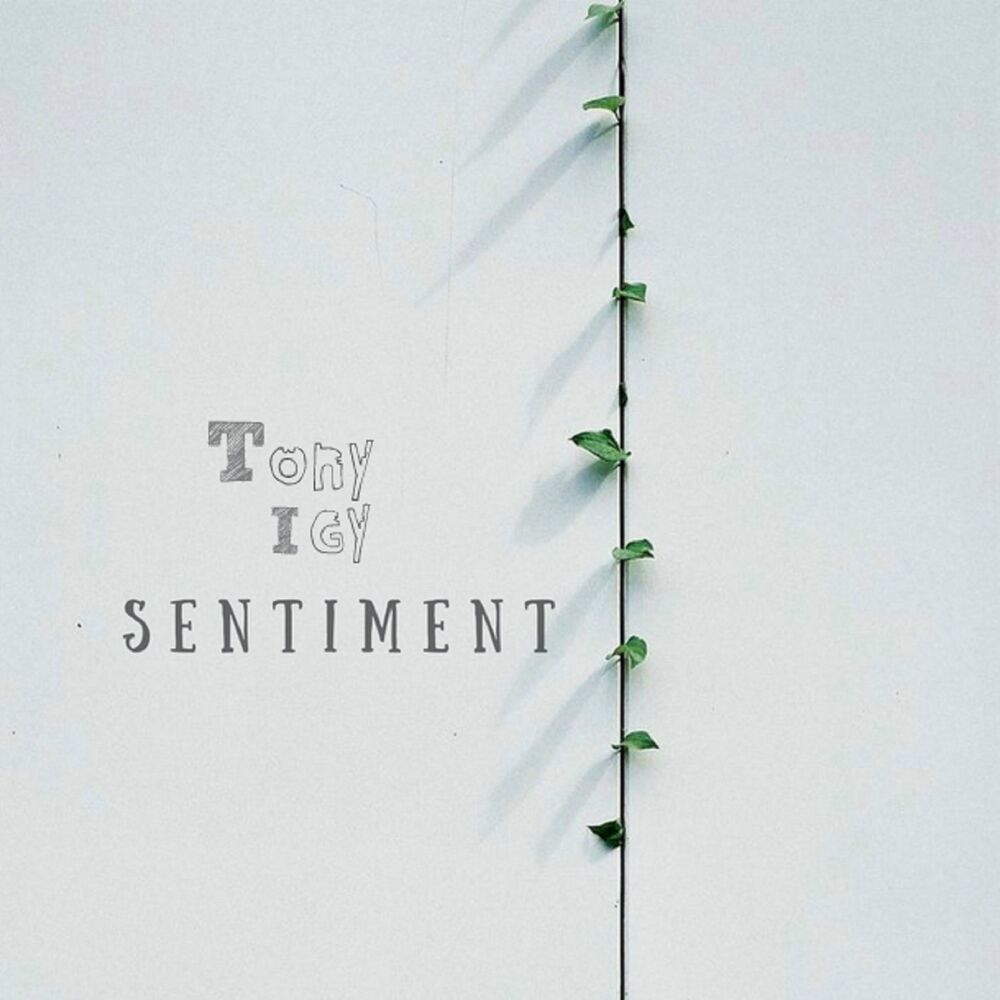 Picture of Sentiment