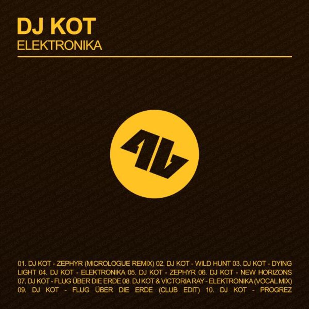 Picture of Elektronika