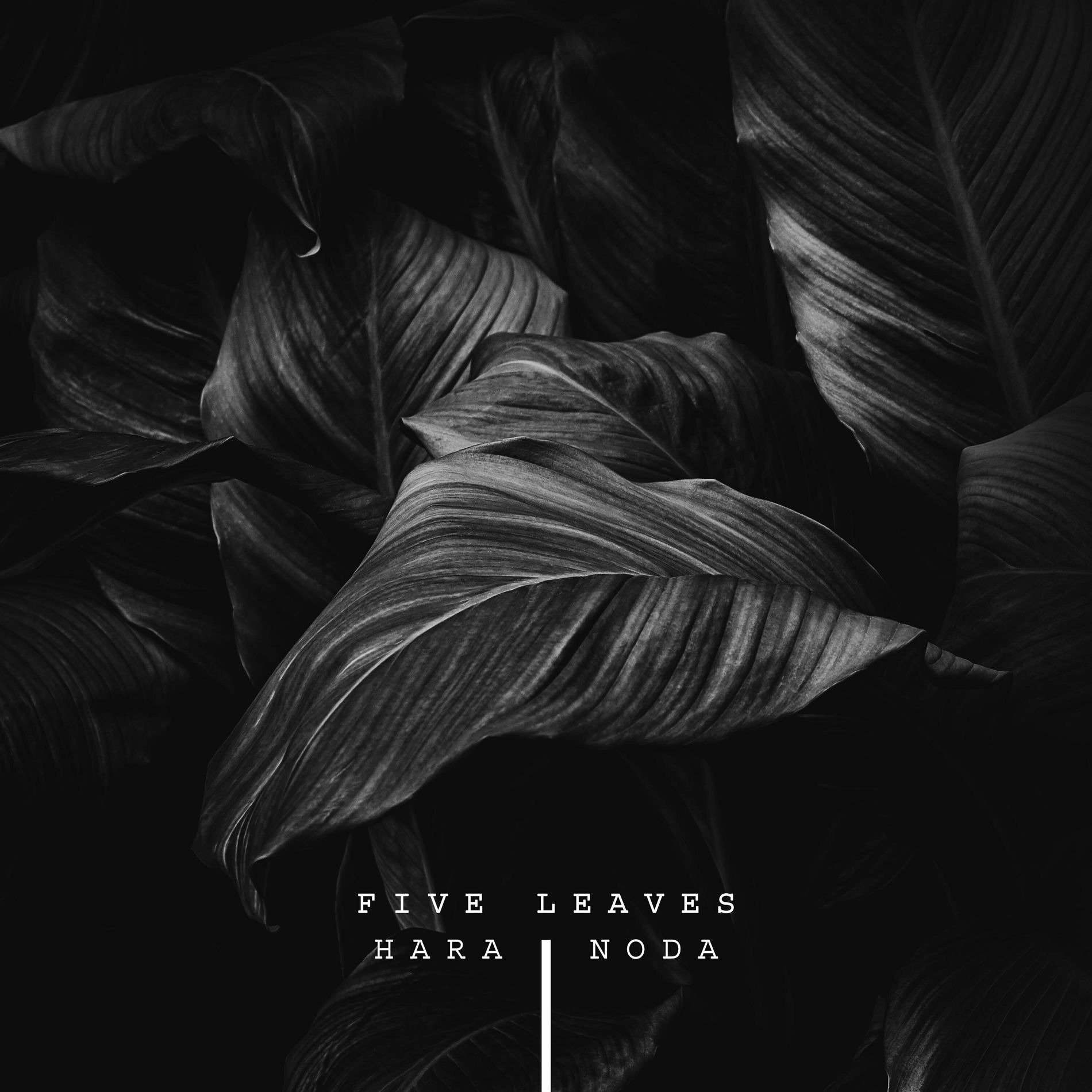 Album cover of Five Leaves