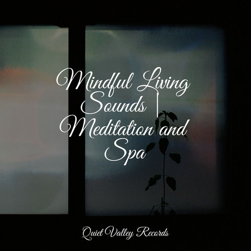 Mindful Living Sounds | Meditation and Spa