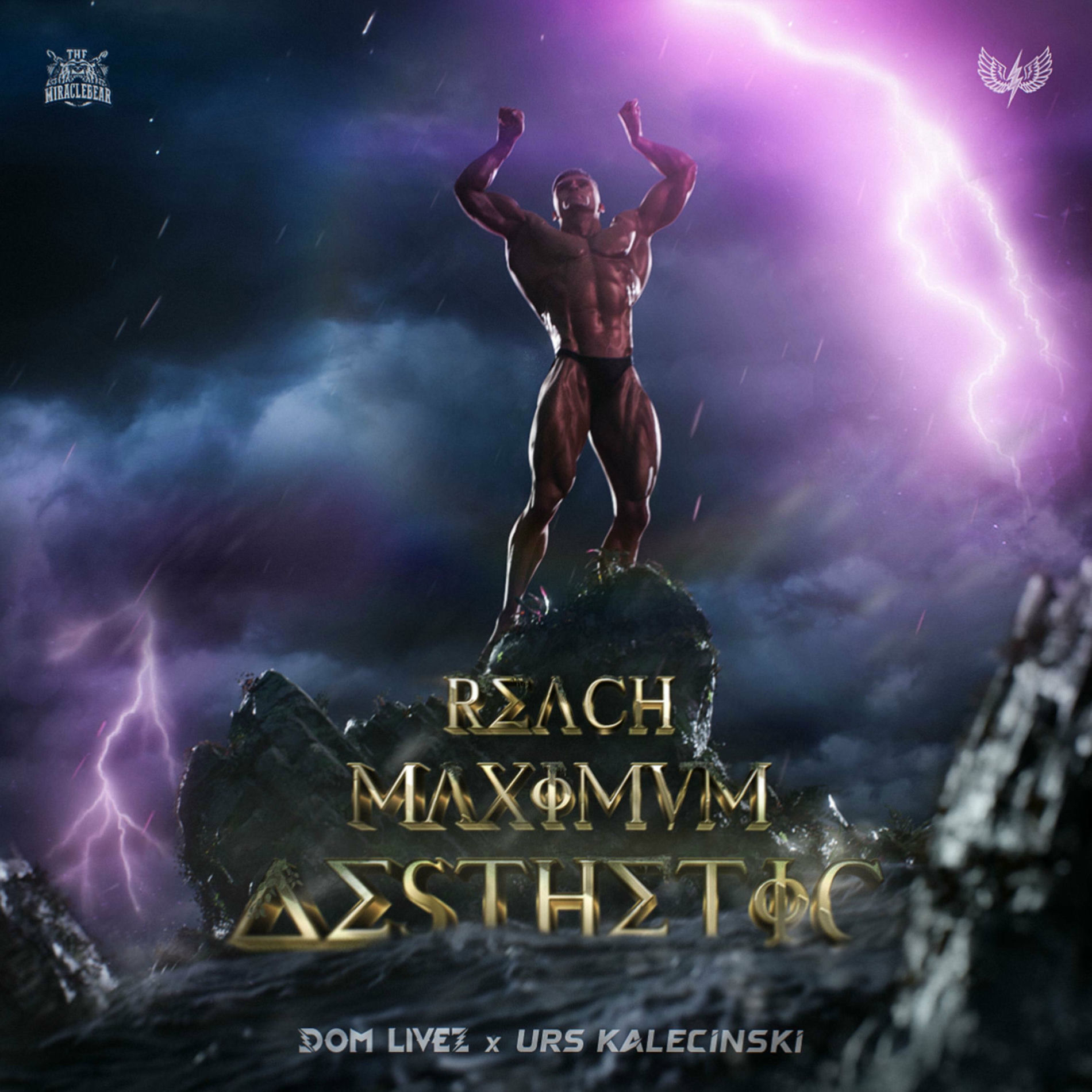 Album cover of Reach Maximum Aesthetic (Urs Kalecinski Anthem)