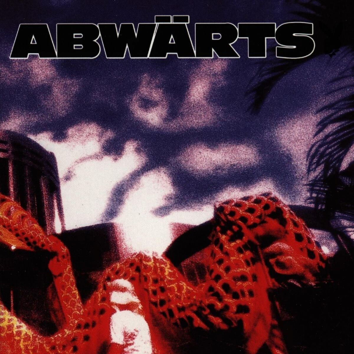 Album cover of Abwärts