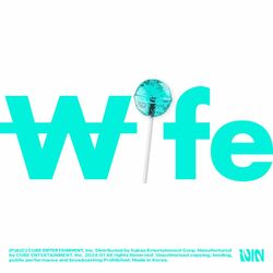 Cover of Wife