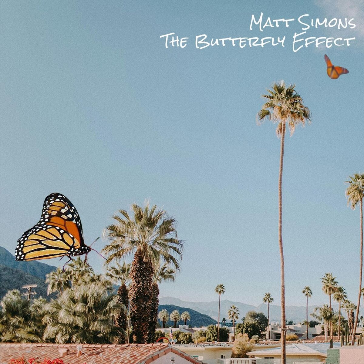 Album cover of The Butterfly Effect
