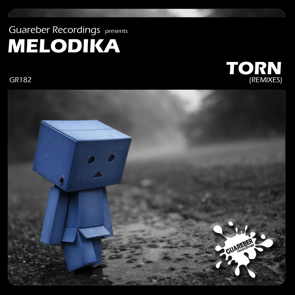Picture of Torn Remixes