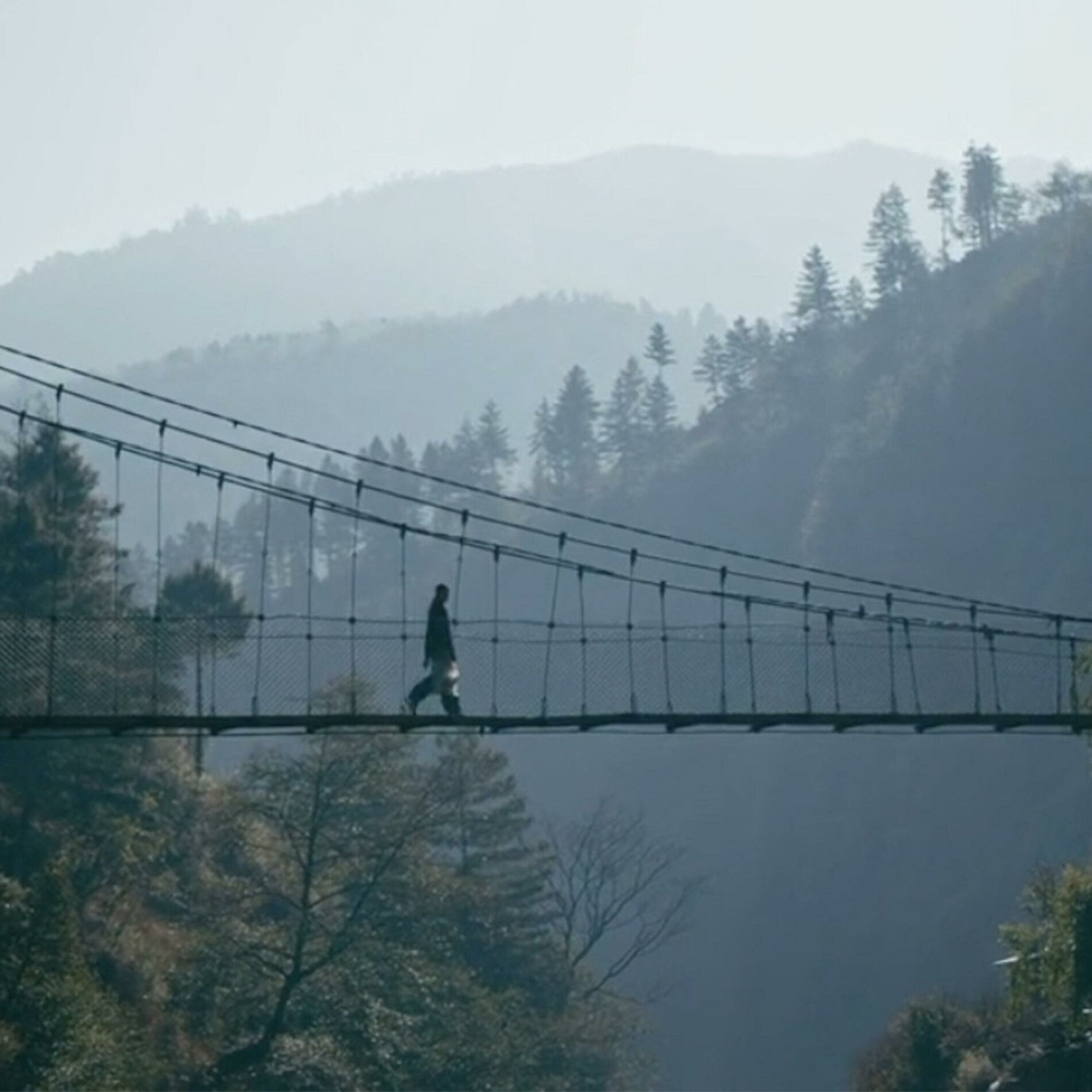 Album cover of Many the Miles