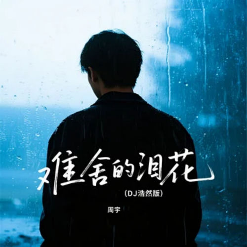 难舍的泪花 (Dj浩然版)
