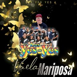 Cover of Vuela Mariposa