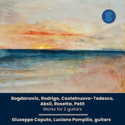 Cover of 20th-Century Works for two Guitars