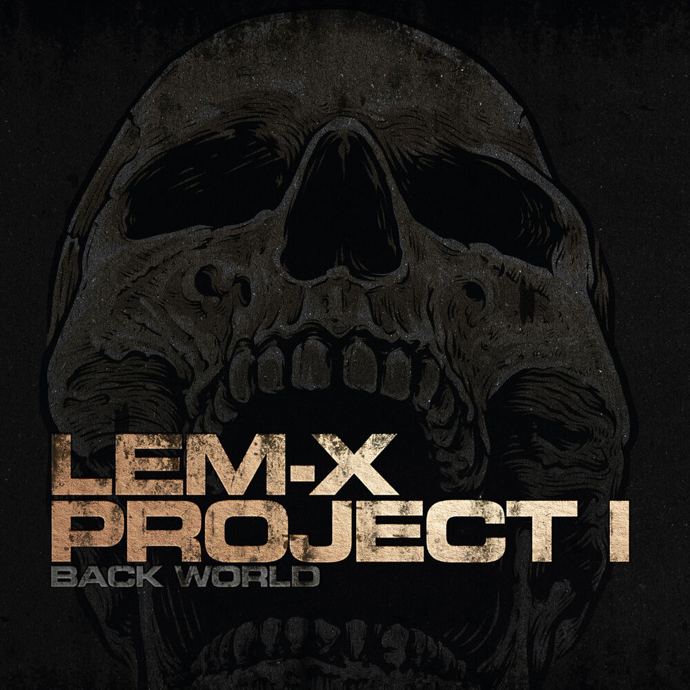 Picture of Project 1: Back World